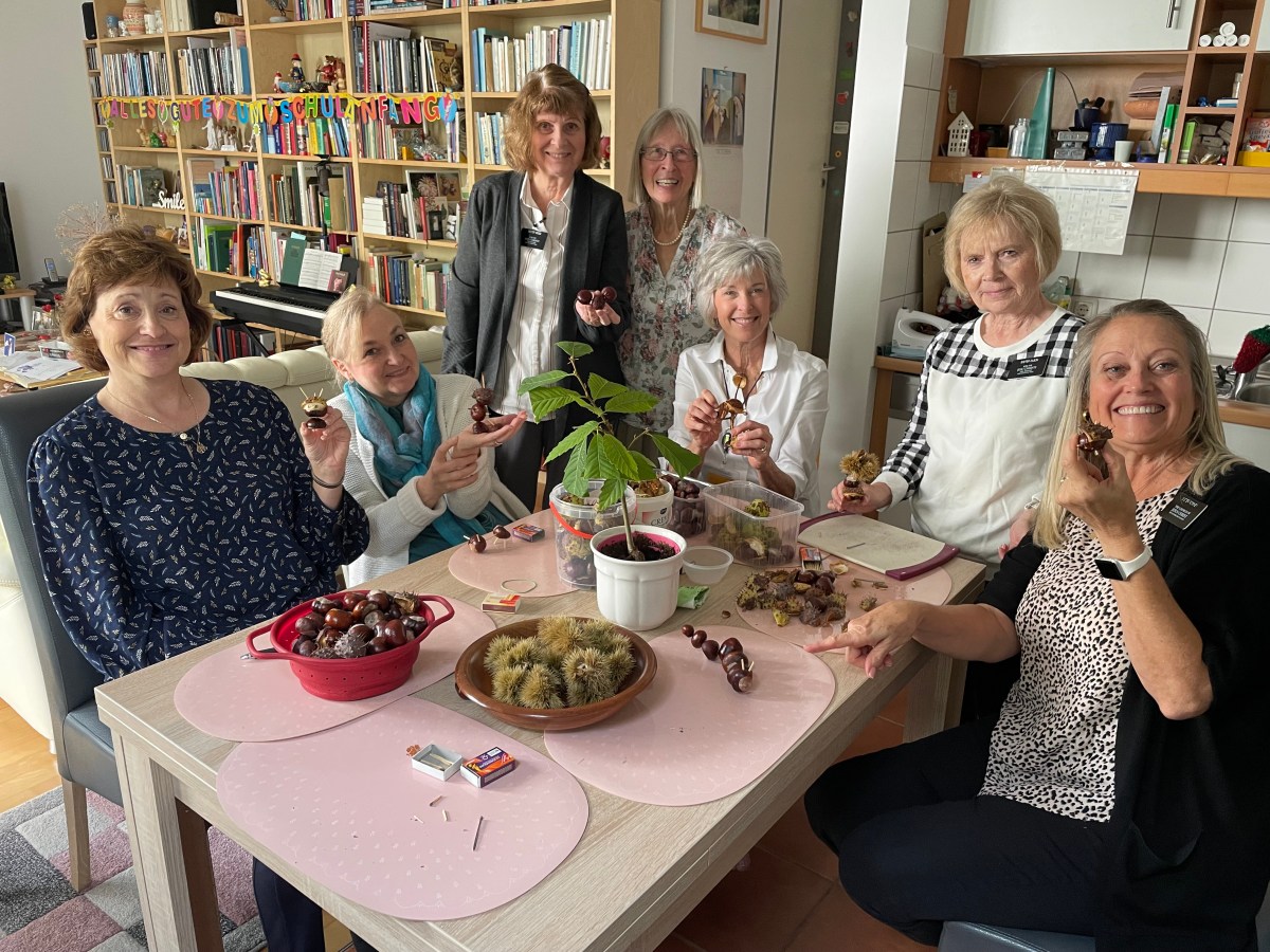 Chestnuts are Falling All Around&nbsp;Us