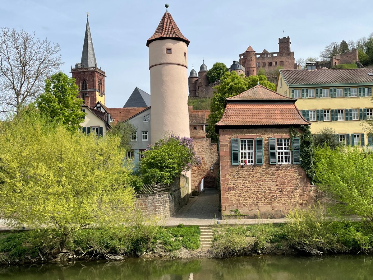 Wandering in Wertheim
