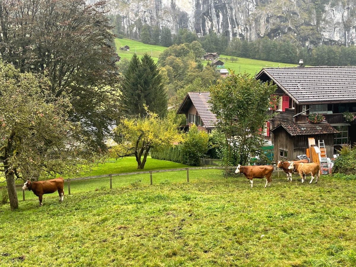 Wengen on the&nbsp;Mountainside
